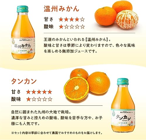 九州まるごとしぼり みかんジュース 4