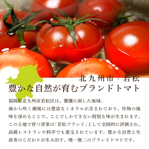 福岡県産 若松フルーツトマト 2