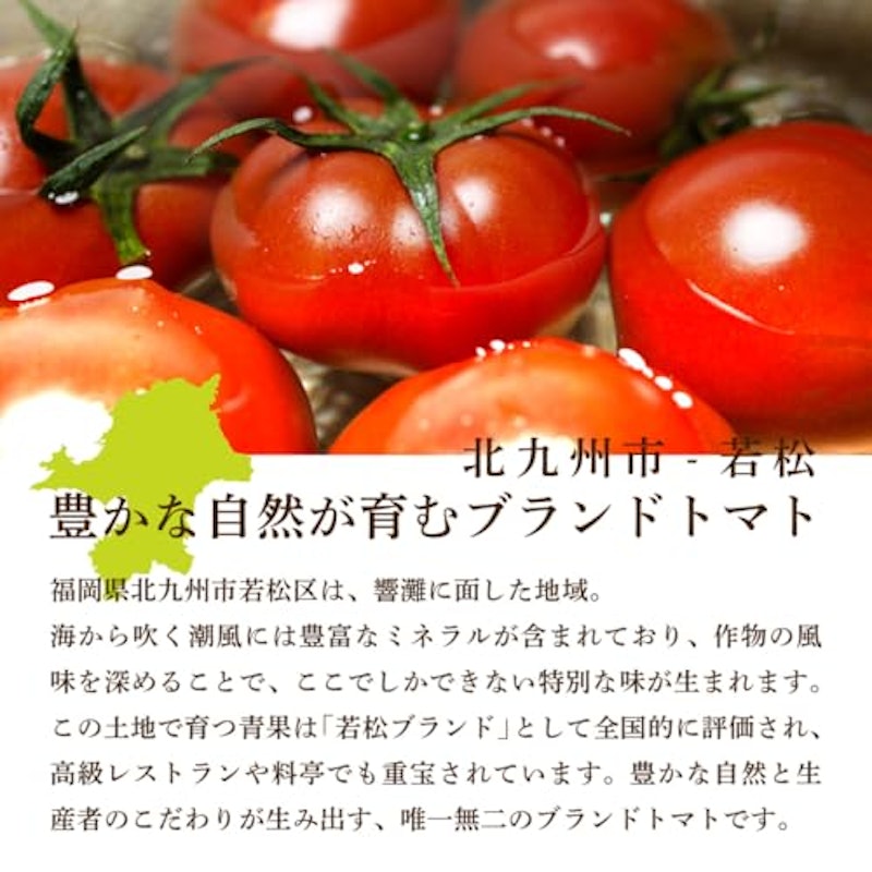 福岡県産 若松フルーツトマト 2
