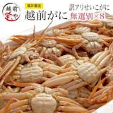 越前ガニ通販のおすすめ人気ランキング【2026年9月】 5
