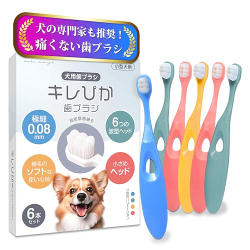 犬 歯ブラシ キレぴか歯ブラシ 1