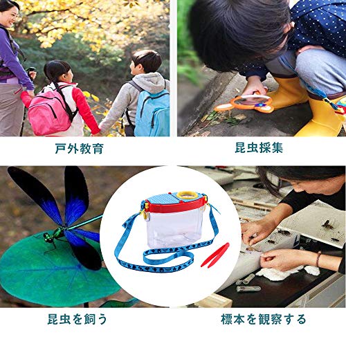 ルーペ付き虫かご 6