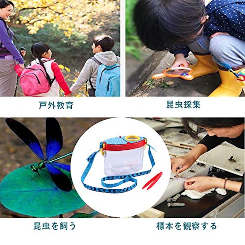 ルーペ付き虫かご 6