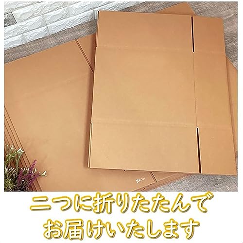 ダンボール 5