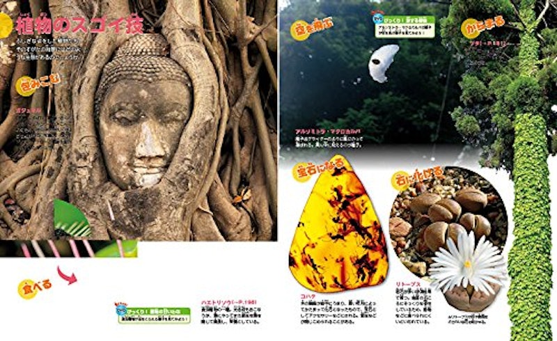 講談社の動く図鑑MOVE 植物 3