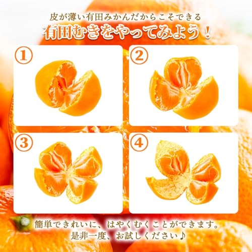 有田みかん 2