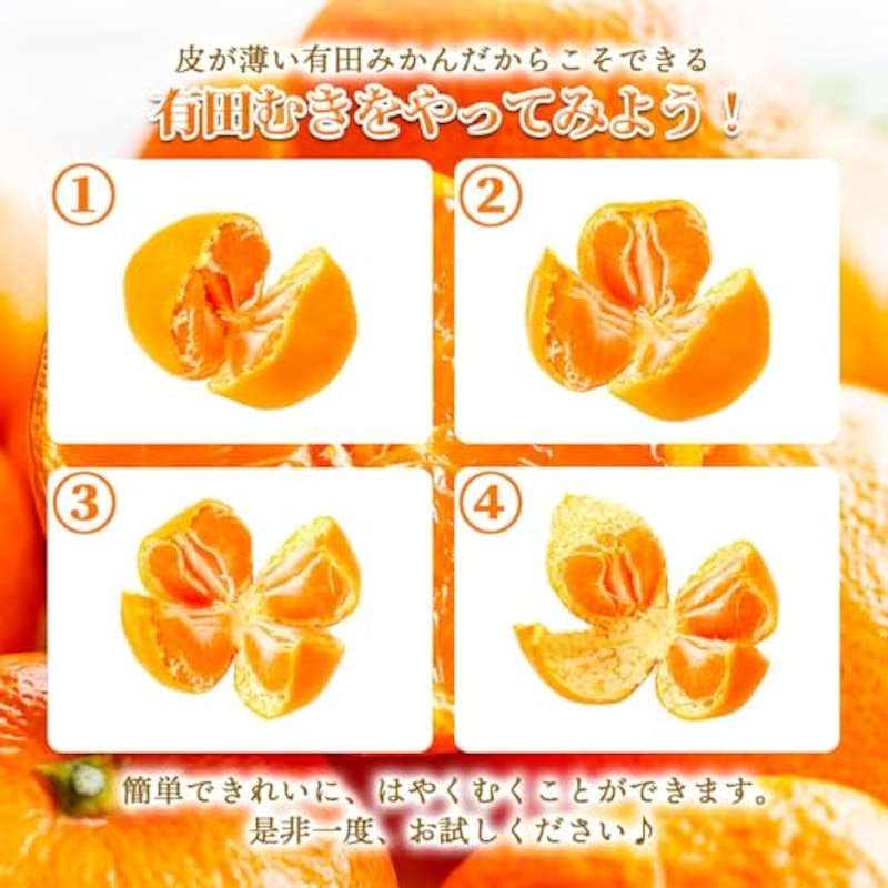 有田みかん 2