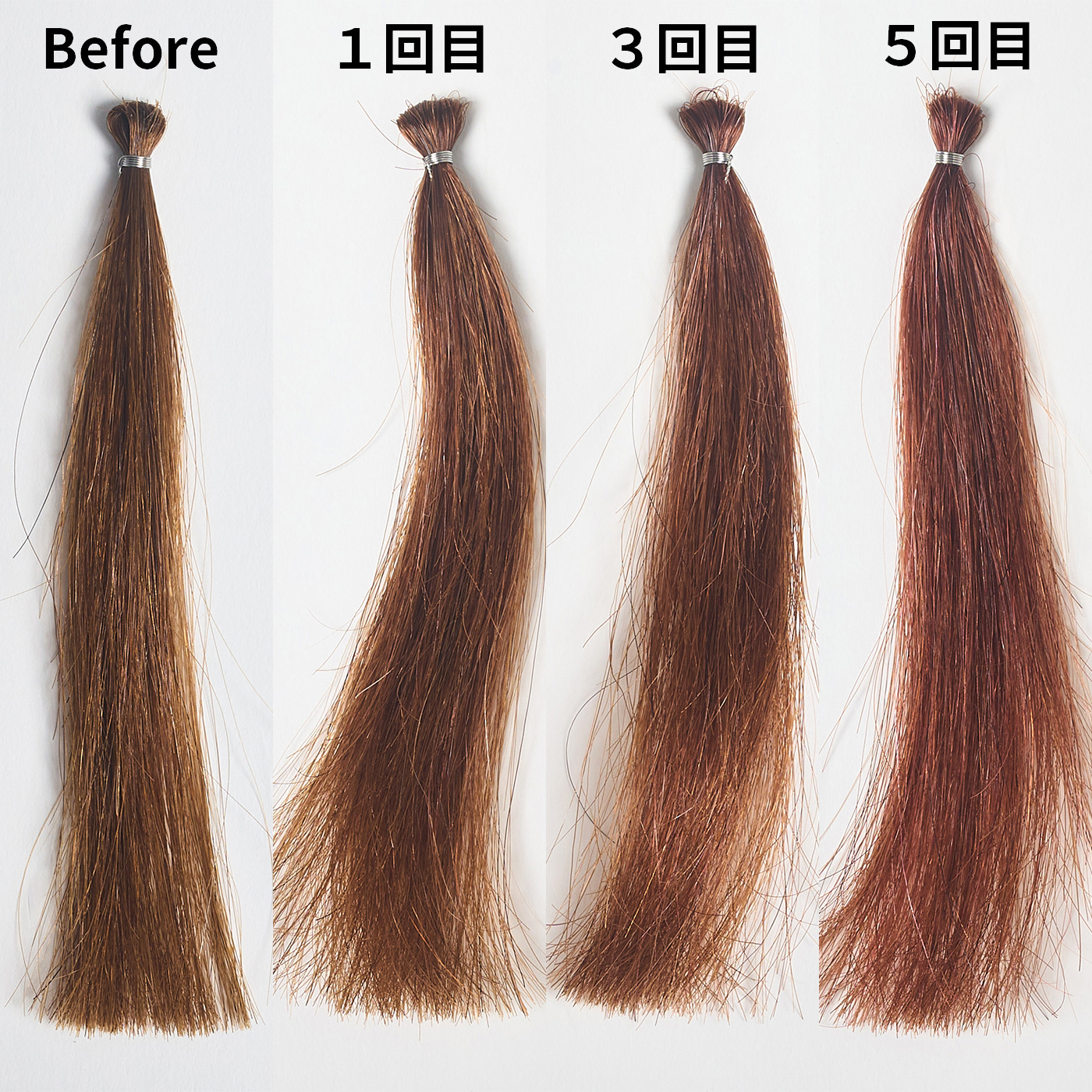 Color Shampoo 3