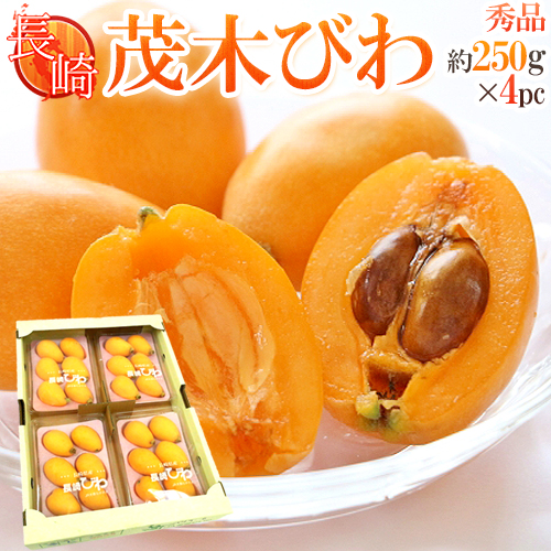 果物 BIWA びわの種 大粒90粒 いちご