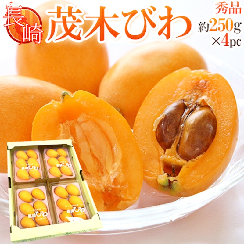 茂木びわ 1