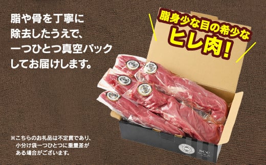 佐藤畜産の極選豚 ヒレ肉 3