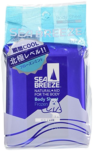 アイスタイプ　ボディシート　フローズンミント 1