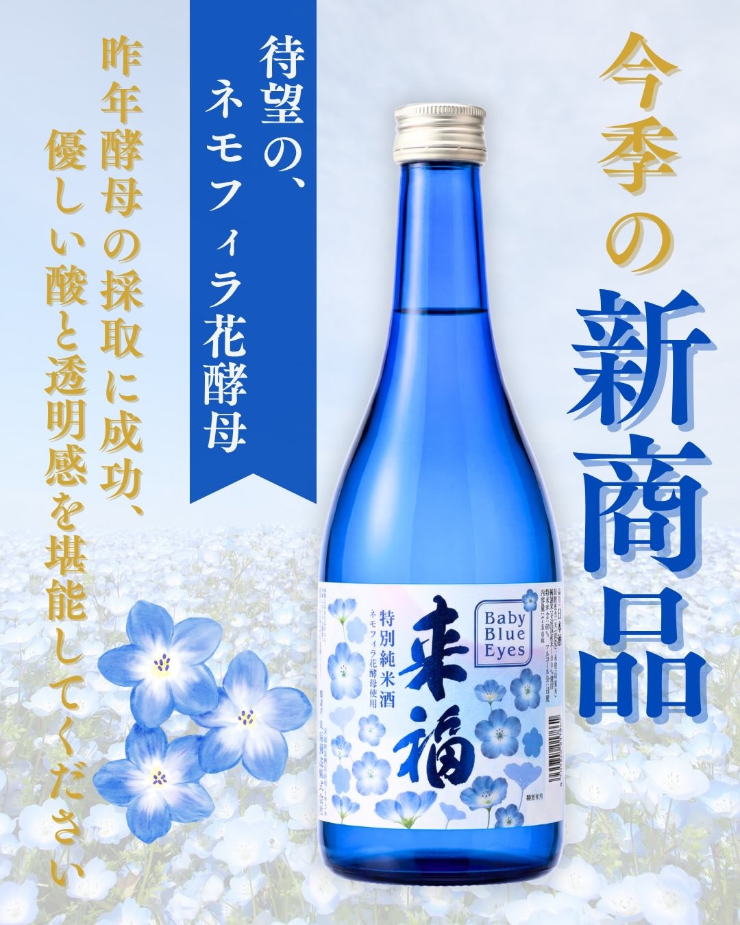 茨城の日本酒のおすすめ人気ランキング【2026年7月】 5