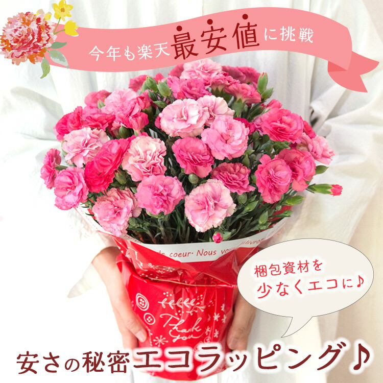 選べる花鉢 2