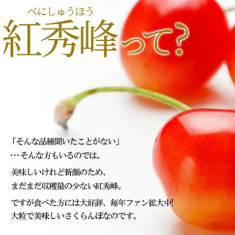 紅秀峰 特秀 2
