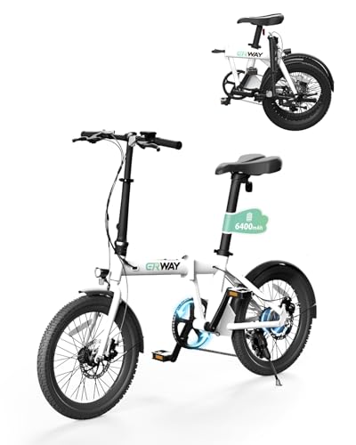 折りたたみ電動自転車 ERWAY01 1