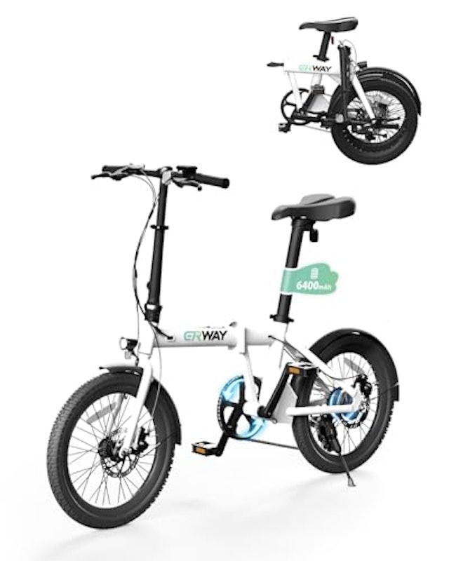 折りたたみ電動自転車 ERWAY01 1