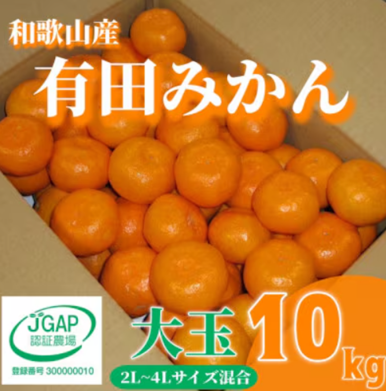 和歌山の有田みかん 1
