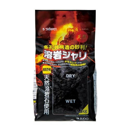 溶岩ジャリ 1