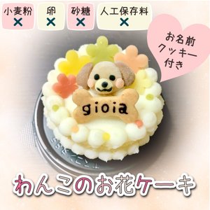 誕生日ケーキ バースデーケーキ ワンちゃん用 犬用 コミフ 野菜のバースデーケーキ ペットケーキ
