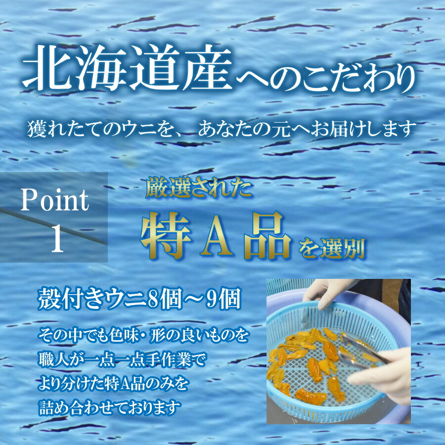 北海道産塩水ムラサキウニ 3