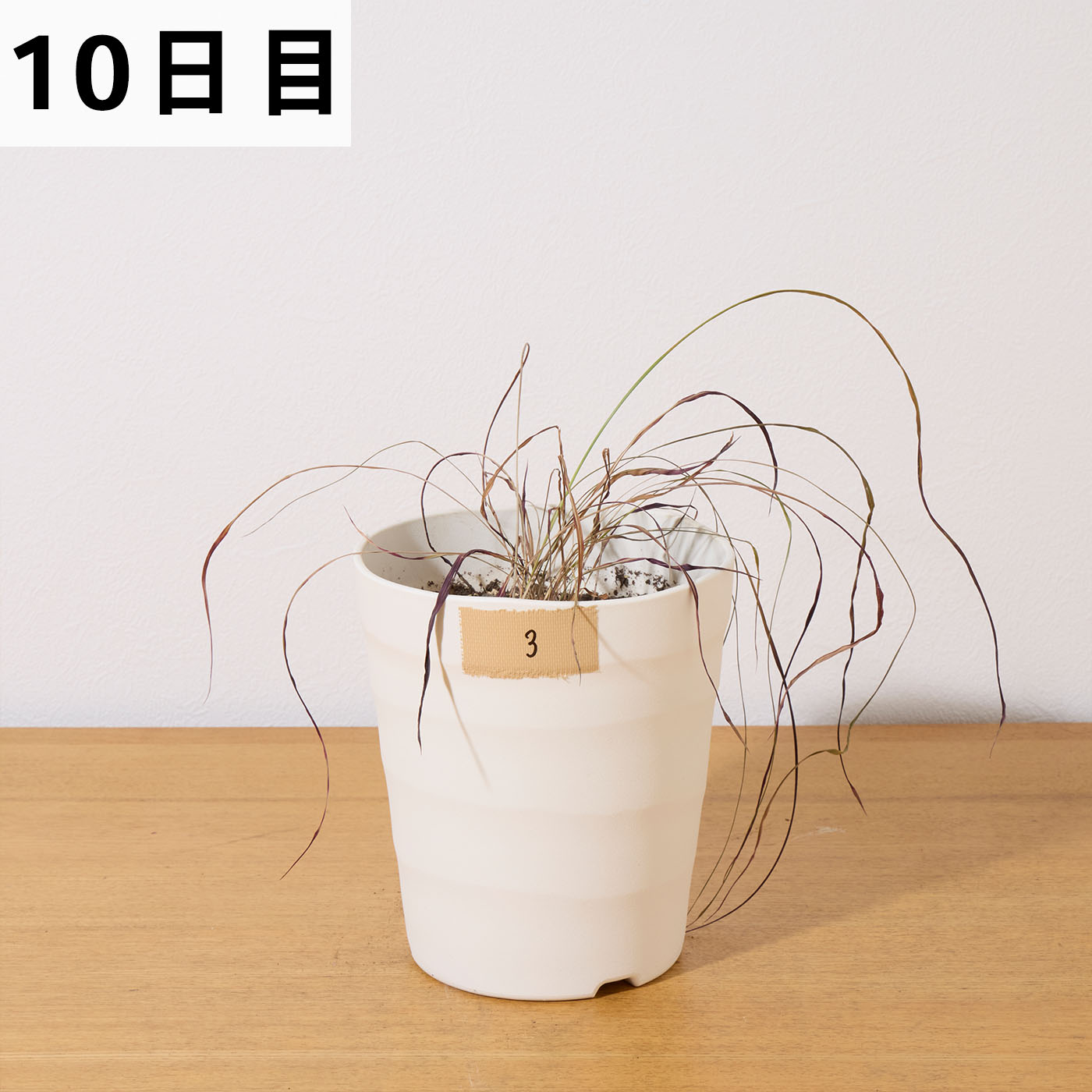 ラウンドアップマックスロード 18