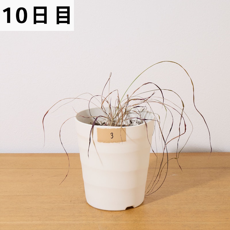 ラウンドアップマックスロード 18