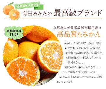 田村みかん 2