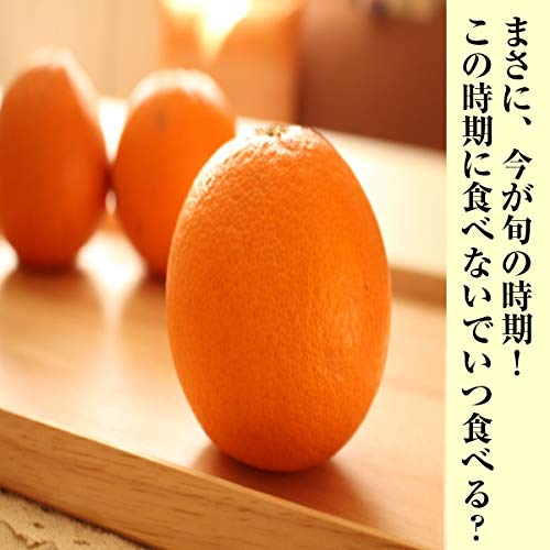  訳あり 清見オレンジ 4