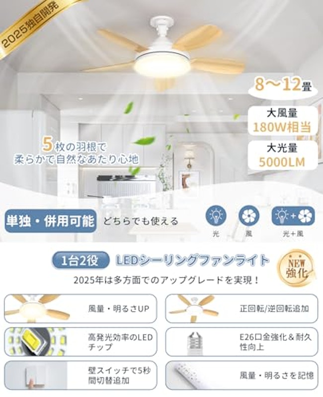 シーリングファンライト 2