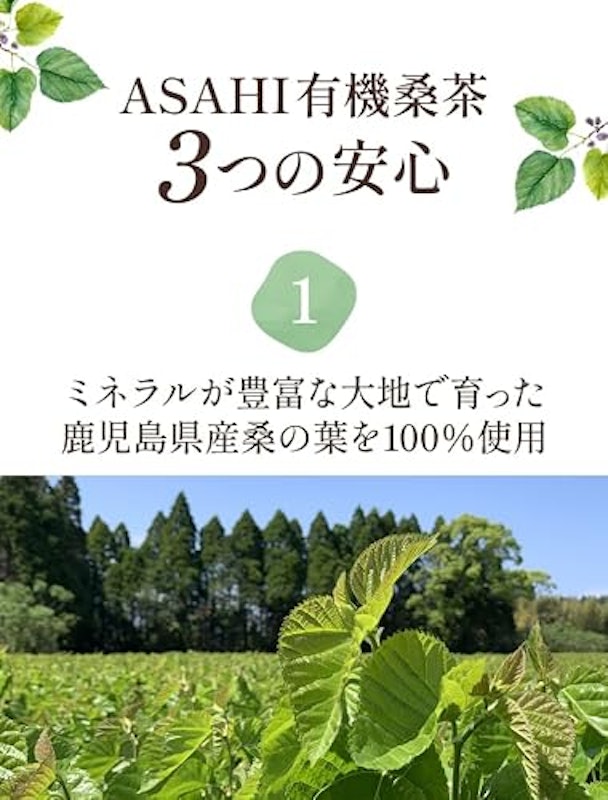 ナチュランド 有機桑茶 4