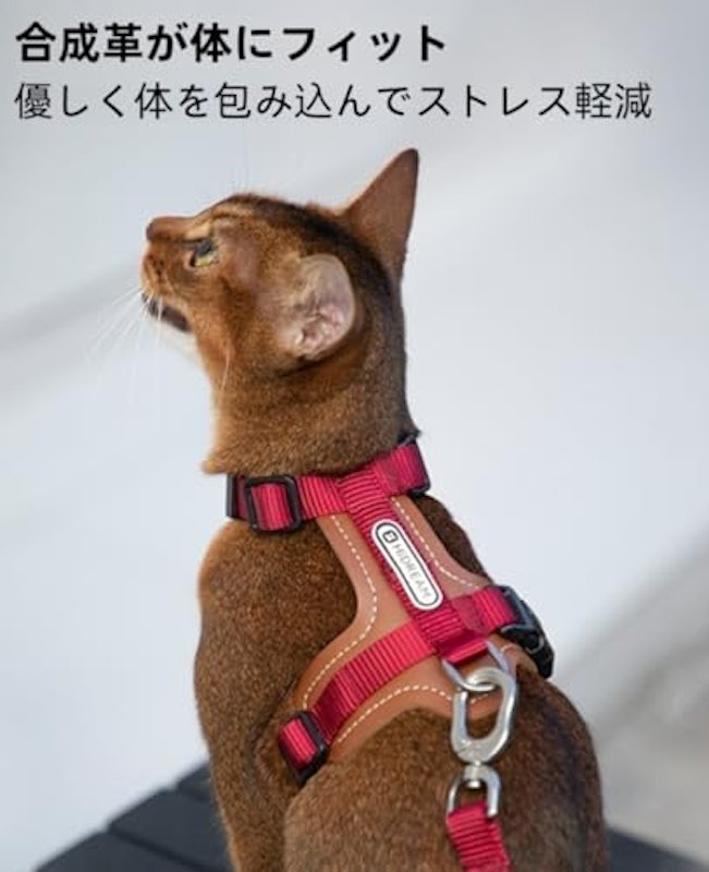 猫用ハーネス 2