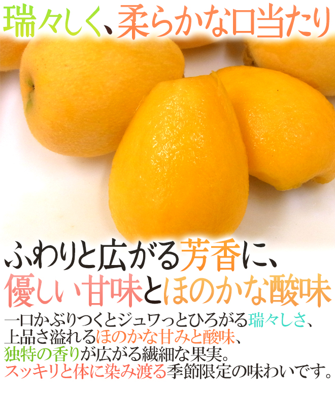茂木びわ 訳あり 5