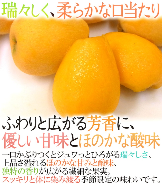茂木びわ 訳あり 5