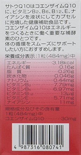 サトウQ10 2