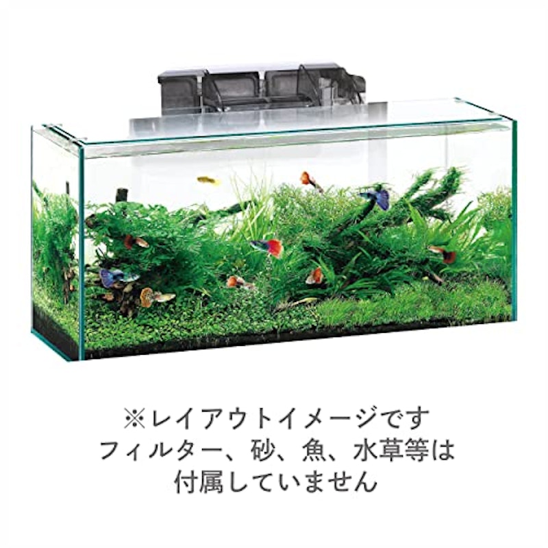 グラステリアスリム 水槽 3