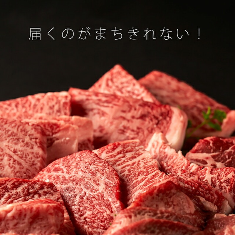 6点食べ比べ焼肉 11