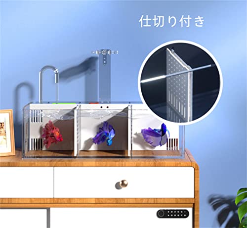 水槽 5