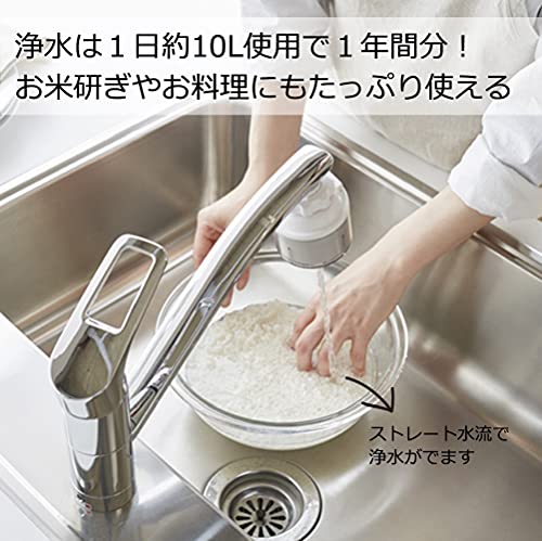 ロカシャワーMX 3