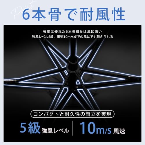 日傘 5