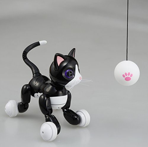 猫のペットロボットのおすすめ人気ランキング【2025年】 | マイ