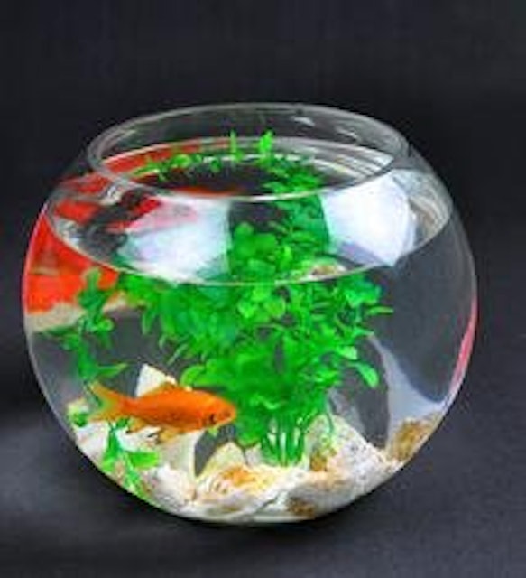 21年 金魚鉢のおすすめ人気ランキング10選 Mybest 21年 金魚鉢のおすすめ人気ランキング10選 Mybest