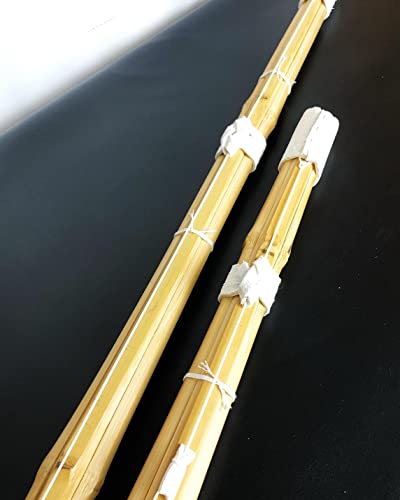 剣道竹刀二刀流 3