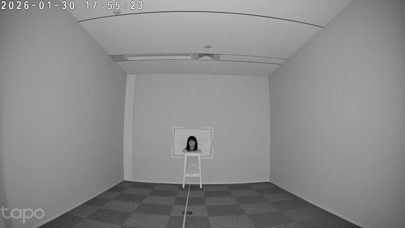 ATOM Cam 2 11