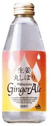 生姜丸しぼり Wakayama Ginger Ale 1