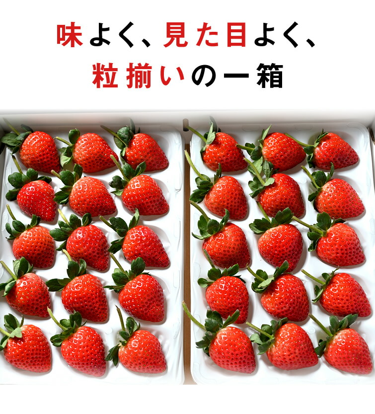 とちあいか 9