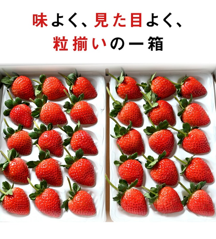 とちあいか 9