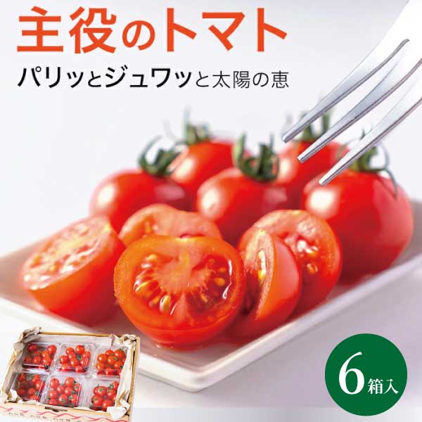 ミニトマト 1