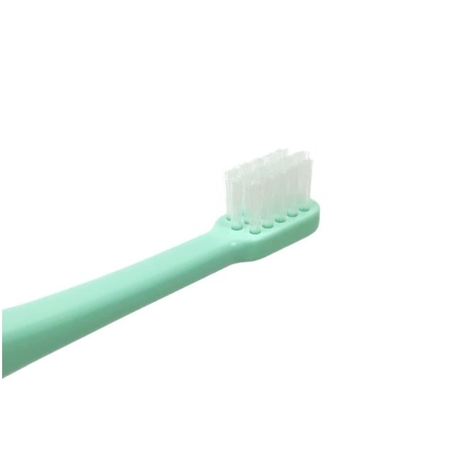 TRAVEL TOOTHBRUSH MISOKA FOR TO＆FRO 4