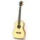 日本娯楽 ABD-SP Baritone 1